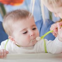 Popular Infant Food Allergy Questions Answered